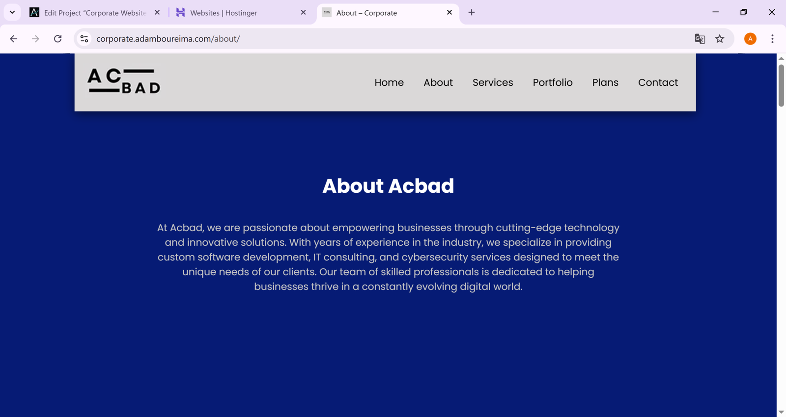 Project Screenshot 2