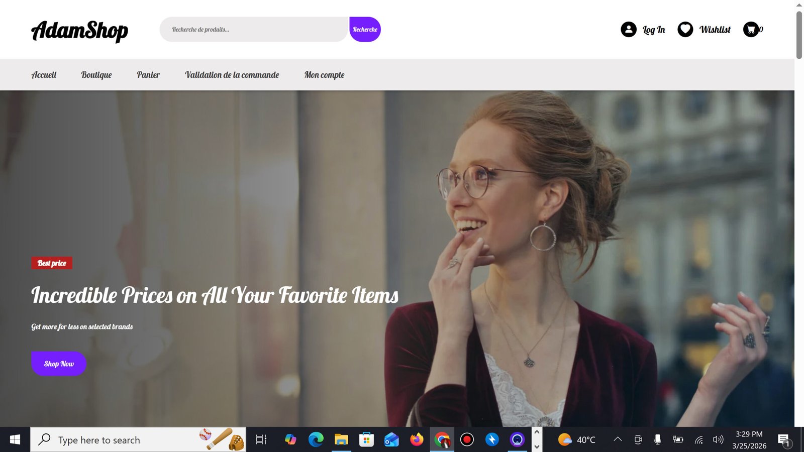 Project Screenshot 1