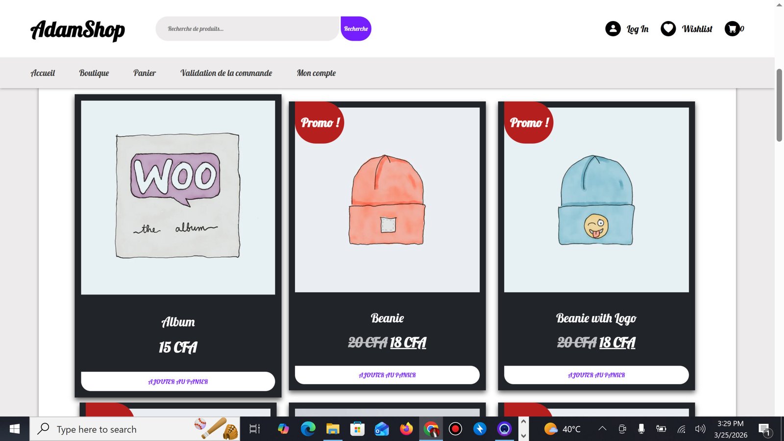 Project Screenshot 2