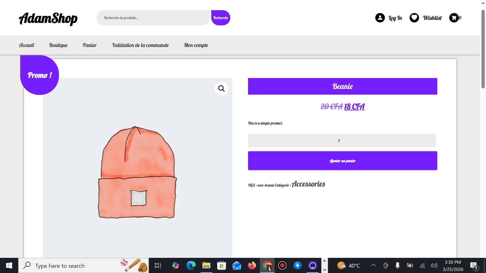 Project Screenshot 3